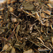 Load image into Gallery viewer, Echinacea Ginger Mint Herbal Blend

