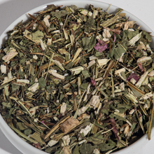 Load image into Gallery viewer, Echinacea
