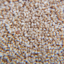 Load image into Gallery viewer, White Poppy Seeds
