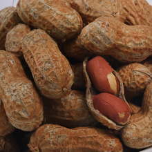 Load image into Gallery viewer, Roasted Peanuts  (In Shell)
