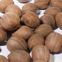 Load image into Gallery viewer, Organic Pecan In shell - Australian grown
