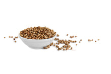 Load image into Gallery viewer, Coriander Seeds - Australian grown
